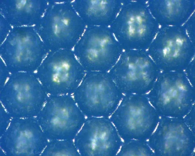 Anilox Thermaflo 12 Anilox Thermaflo